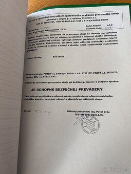 Jednovretenova zvislá frézovačka/ formátovacia kotúčová píla - 2