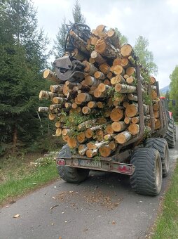 Palivové drevo - 2