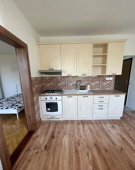 Prenajmem slnečný jednoizbový byt s balkónom v Nitre - 2
