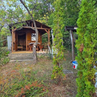 416 m² zelene a pokoja – na predaj záhrada s chatkou v Čacht - 2