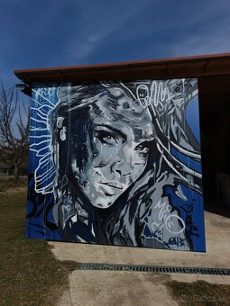 Obraz na plátne 200x200 - 2