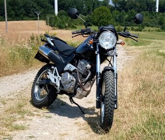 Honda slr 650 - 2