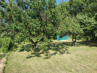Predám záhradu v blízkosti centra Nitry, 400 m2 - 2