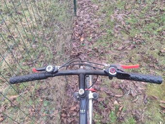 Olpran Laser 26" - 2