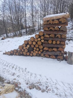 Palivové drevo - 2