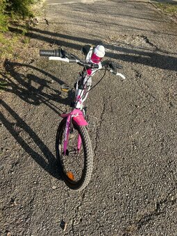 Dievčenský bicykel “20 - 2