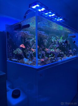 Morské akvárium Blau Set Gran Cubic Super Reef 122 - 2