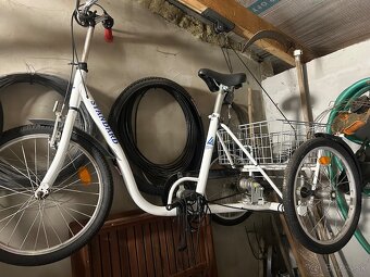 Trojkolka pre imobilných ľudí - 2