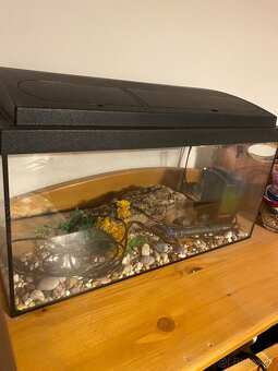 Akvarium 54l - 2