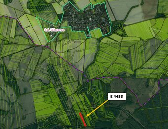 Čičarovce - 5.000 m2 LESNÝ POZEMOK v podiele 1/1 - 2