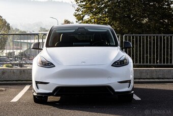 Tesla Model Y Performance - 2