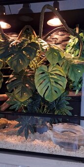 Terarium Repti Planet 90x45x90 - 2