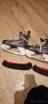 Korčule Bauer vel 43 - 2