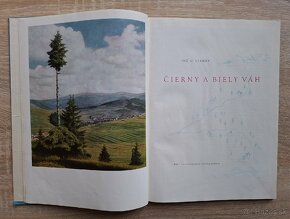 Cierny a Biely Vah
- 2