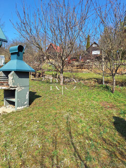Na predaj Záhrada s chatkou , Banská Bystrica 🌿🏡 - 2