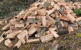 Palivové drevo - buk, jaseň - 2