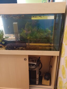 akvárium 200 l so skrinkou a príslušenstvom - 2