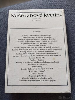 Lajos Lelkes - Nase izbove kvetiny - 2