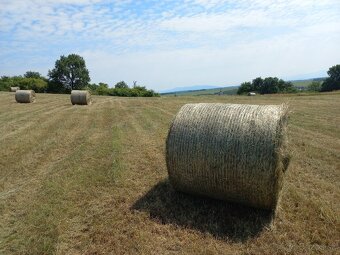 Seno balíky - 2