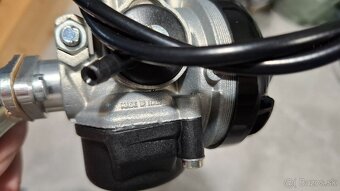 BABETTA DIELY - dellorto - 2