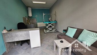 Prenájom priestoru v centre mesta - 2