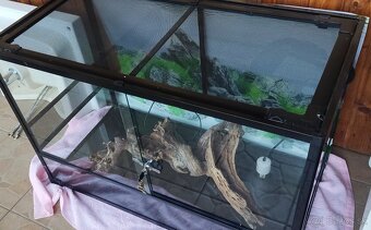 Terarium - 2