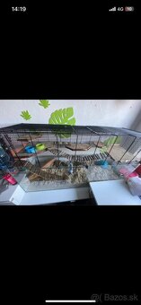 Predám aquarium pre hlodavce a drobné cicavce - 2