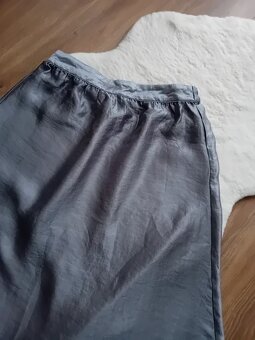 Strieborna sukna - 2