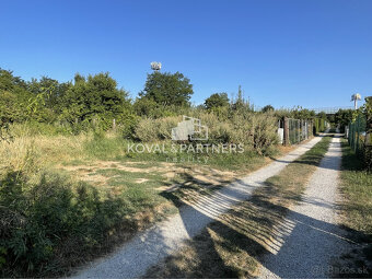 Záhrada v Nitre - v záhradkárskej oblasti - 2