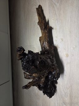 Koreň do akvária / terária - 2