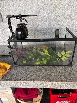 Predám tetárium s vybavením - 2