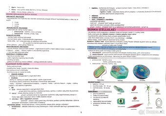 Predám poznámky z biológie v PDF - 2