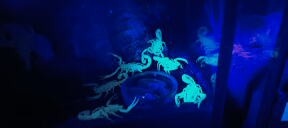 Tityus Stigmurus - 2