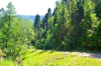 SMOLNÍK – 6.712 LESY v podiele 1/1 - NA PREDAJ - 2
