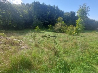 NA PREDAJ stavebný pozemok Detva Skliarovo - 2