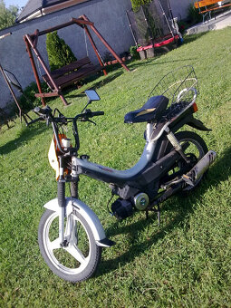 Korado manet Poliny 70 - 2