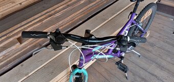 CAPRIOLO DIAVOLO 600/ 26“/19“ - 2
