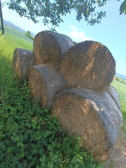 Slama pšeničná - 2