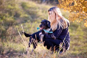 Darujem malú strapatú sučku Muriel - mix bradáč / jazvečík - 2