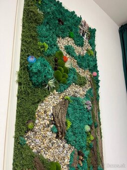 Obraz z konzumovaneho machu - 2