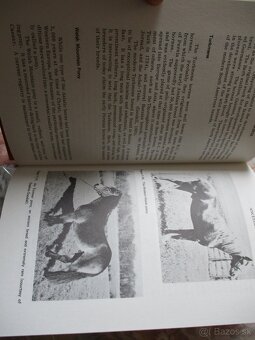 Genetics of the horse - 2