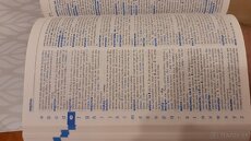 Diccionario Didactico Avanzado Primaria - 2