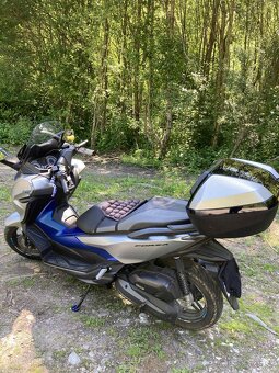 Honda forza 125 - 2
