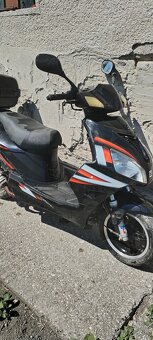 Motorro shark - 2