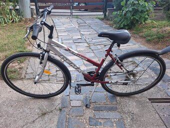 dámsky - detský bicykel DEMA TRINO - 2