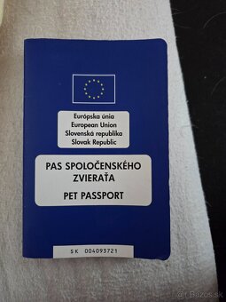 Civava - 2