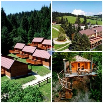 Krásny veľký pozemok 30 000m2 pri Palcmanskej maši, - 2