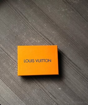 Louis Vyitton Paris - 2