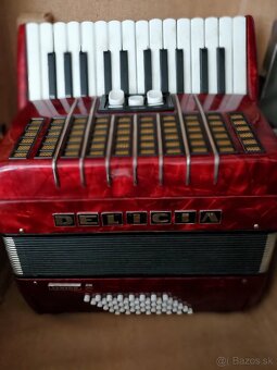 Akordeon Delicia Junior II - 2