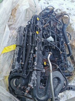 Man l 2000 - 2